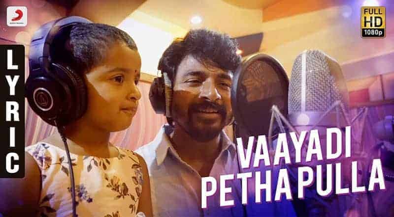 Vaayadi Petha Pulla Song Lyrics