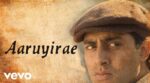 Aaruyire Mannipaaya Song Lyrics