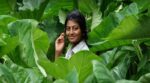 Yen Aala Paakka Poren Song Lyrics