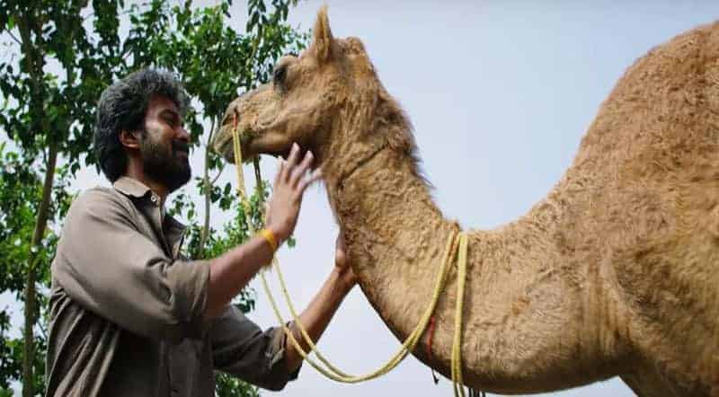 Karadu Moradu Poove Song Lyrics