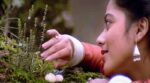 Pulveli Pulveli Song Lyrics