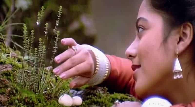 Pulveli Pulveli Song Lyrics