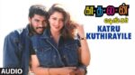 Kaatru Kuthirayile Song Lyrics
