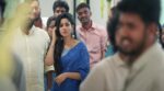 Pachigalam Paravaigalam Song Lyrics
