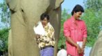 Bombai Party Shilpa Shetty Song Lyrics